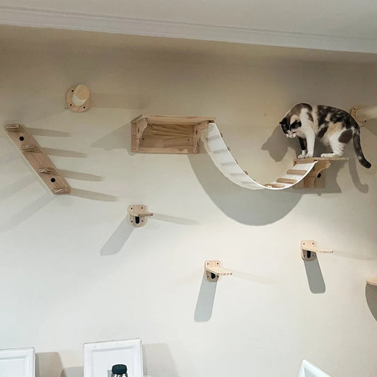 Wall Mounted Cat Climbing Shelves Set – Cat House, Bridge, Hammock with Scratching Post & Steps for Indoor Cats